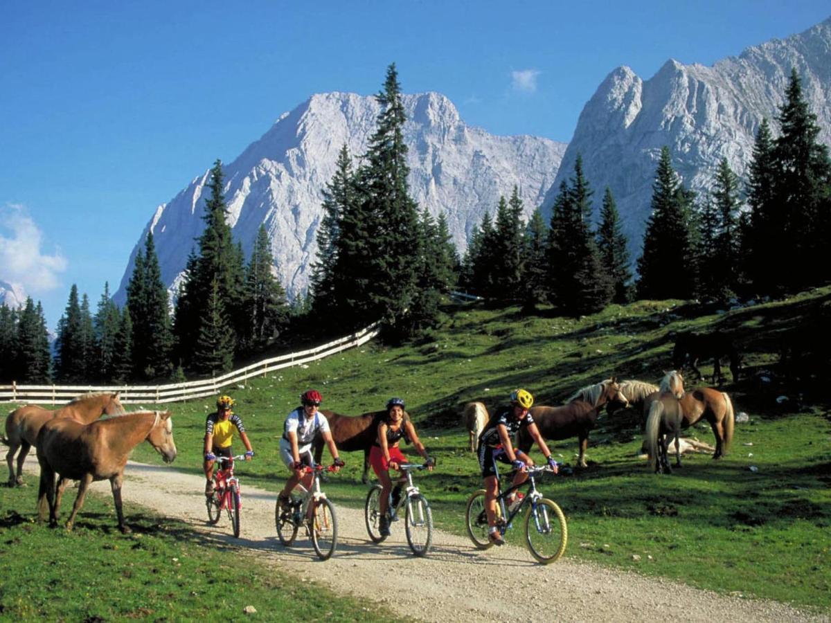 Apartment In W Ngle Tyrol With Walking Trails Near Reutte Kültér fotó