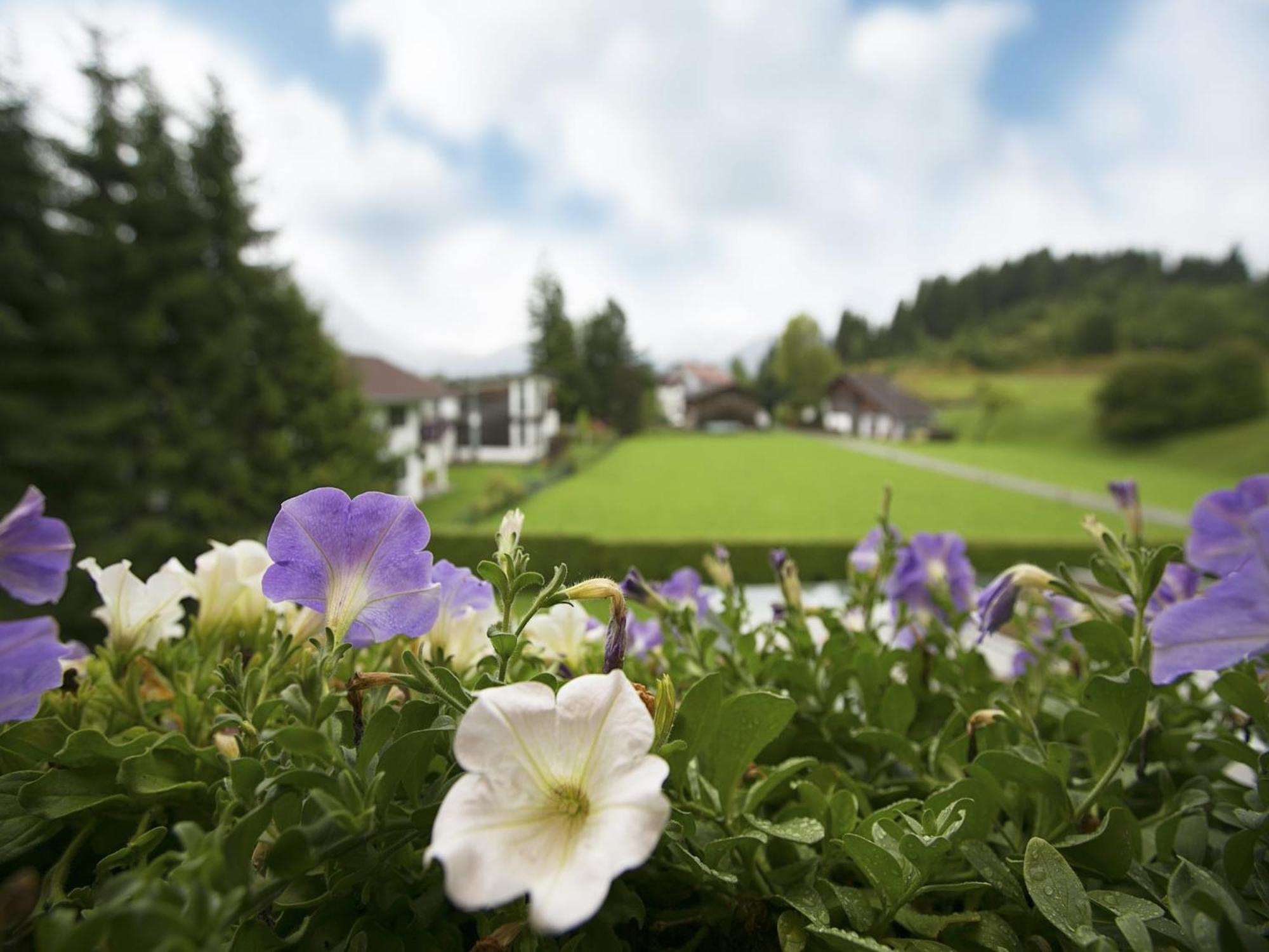 Apartment In W Ngle Tyrol With Walking Trails Near Reutte Kültér fotó