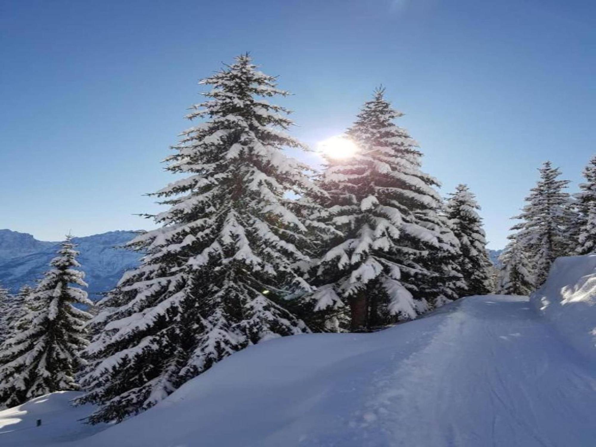 Apartment In W Ngle Tyrol With Walking Trails Near Reutte Kültér fotó